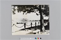 藏品(杭州湖濱公園照片)的圖片